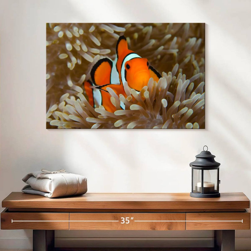 Bramem Wakatobi Anemonefish Pet, H 16 po x l 24 po