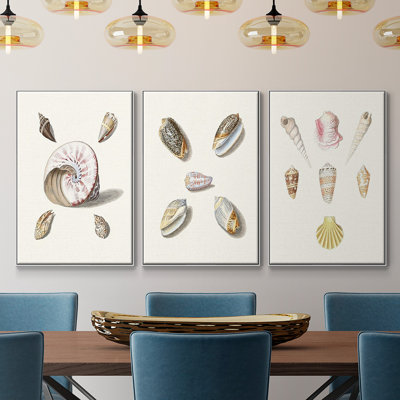 " Pastel Knorr Shells I " 3 Piece Art Print
