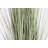 54'' Faux Pampas Grass Plant in Planter