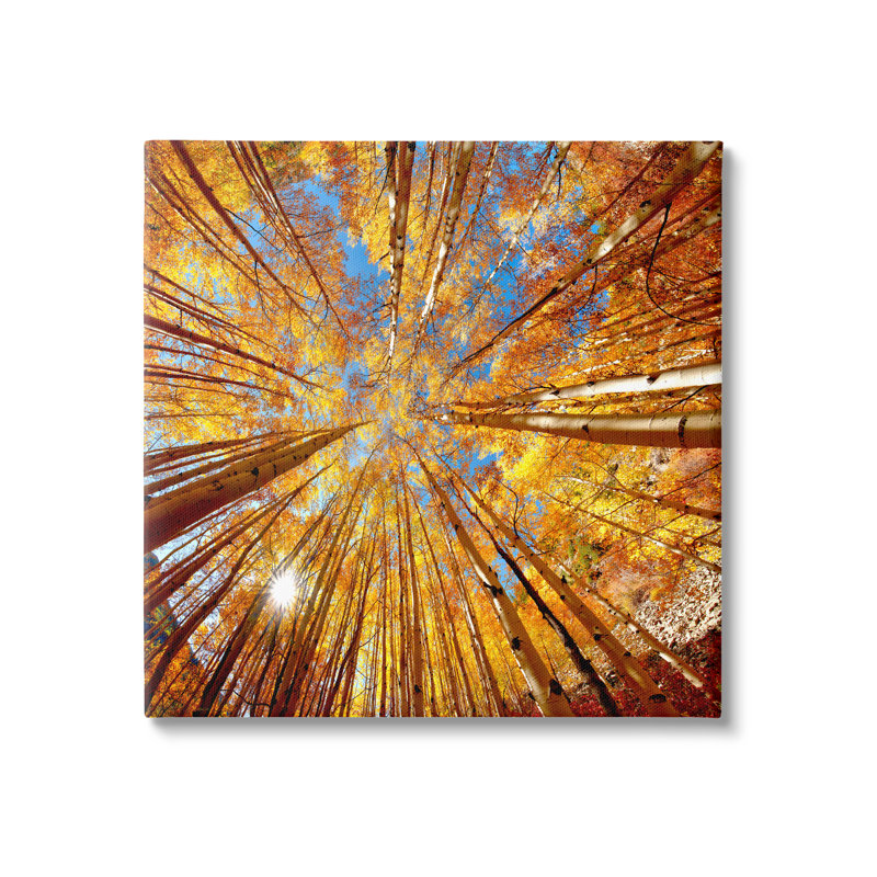 Art mural sur toile Stupell Industries Colorado Autumn Trees par Lena Owens, H 12 po x l 12 po x P 1,5 po