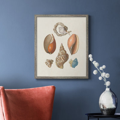 Knorr Shells & Coral I Premium Framed Canvas - Ready to Hang