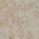 Lyniya Oriental Cotton Dark Brown Area Rug