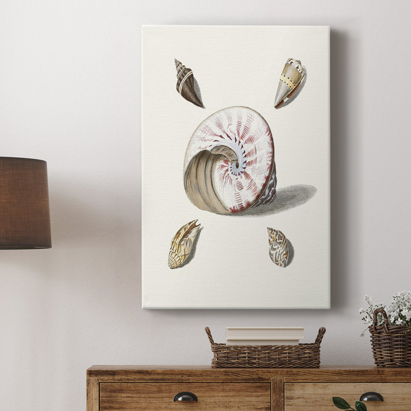 Pastel Knorr Shells II - Cavas enveloppés de galerie, H 18 po x l 12 po