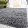 Anasthasie Solid Colour Shag Area Rug