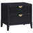 Mason Black Stylish 2-Drawer Nightstand