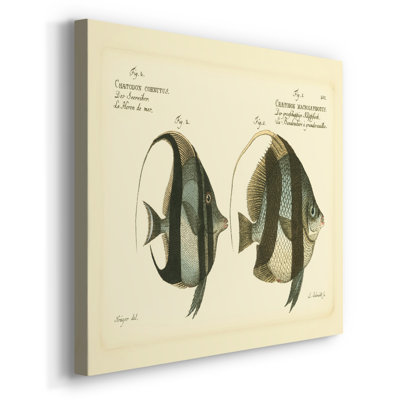 Bloch poisson antique I - galerie Cavas enveloppé