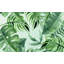 Feuilles tropicales, aquarelle, dessin, papier peint naturel amovible-860049923