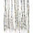 Birch Trees Forest - Bedroom Trees Metal Print Home Decor