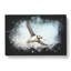Flying Atlantic Puffin Bird - Wrapped Canvas-56640316