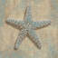 «Aqua Starfish», impression sur toile-20924752