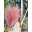 4 pièces de fausse pampa artificielle à branches artificielles à branches longues à tiges de 43 po de hauteur pour la cuisine artificielle Boho Decor-337295239