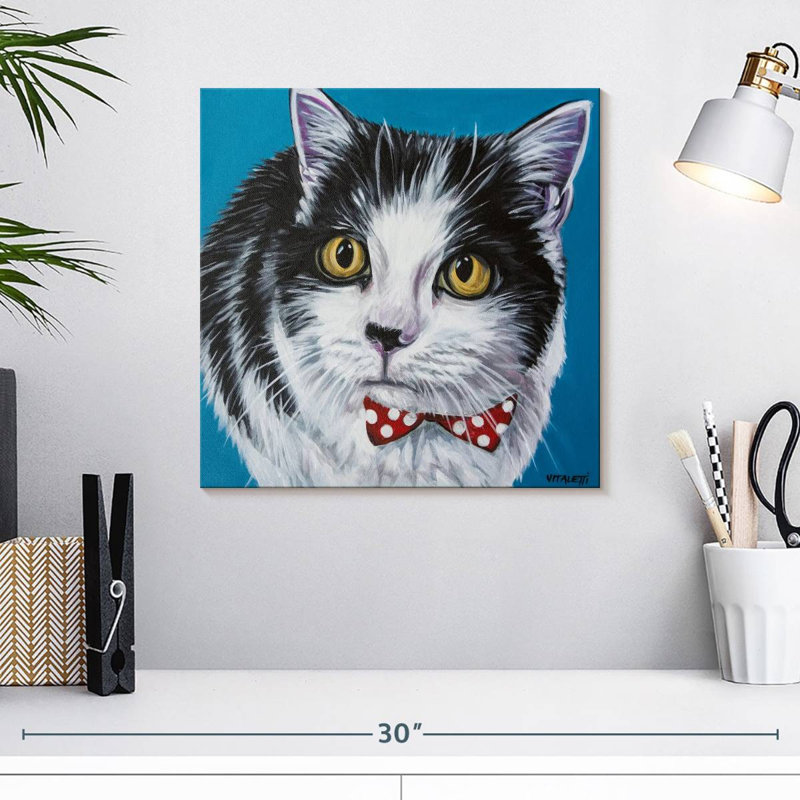 Brampt Classy Cat I, H 16 po x l 16 po