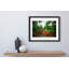 Coconut Dream Print by Joseph Regan-66911129-66911136