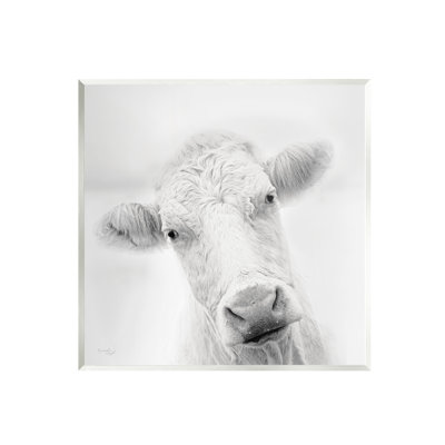 " Peaceful Cattle Portrait Close Up Rural Wildlife " by Jennifer Pugh