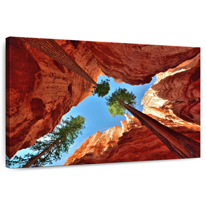 Alvord Bryce Canyon Trees