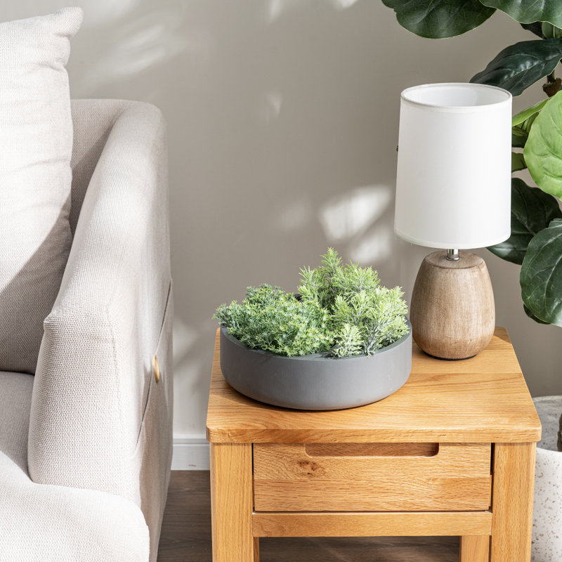 Indoor 8-Inch Concrete Flower Pot Planter, 7.7 cm H x 24 cm W x 24 cm D