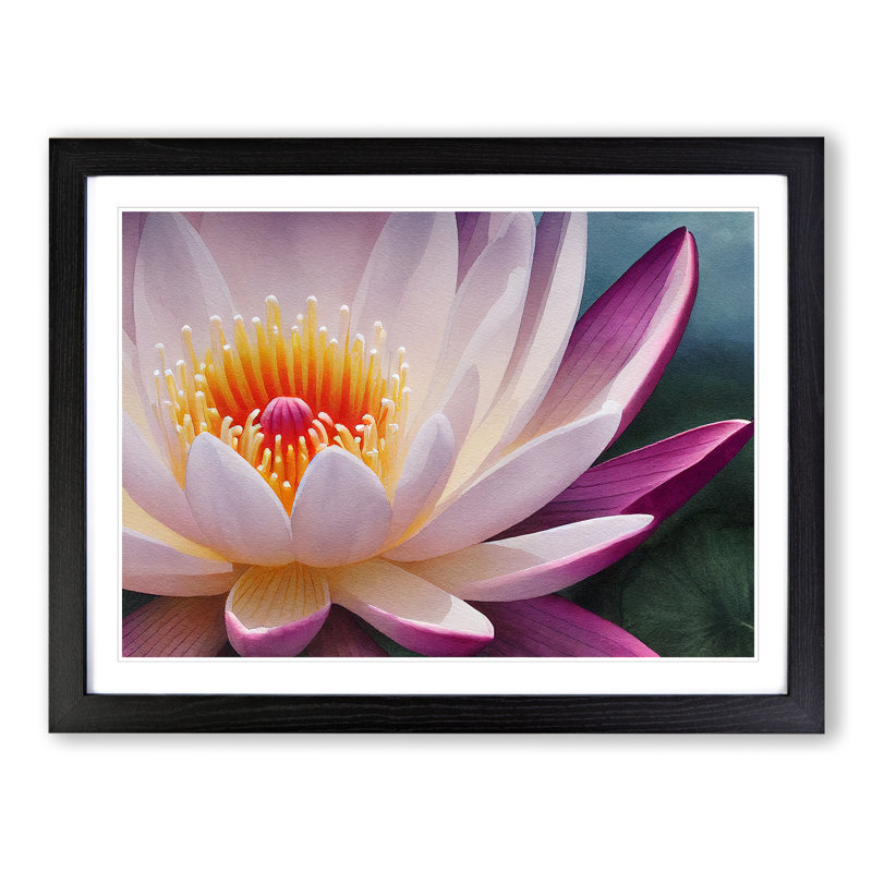Cheerful Water Lily Flower - Single Picture Frame Print, 34cm H x 46cm W x 2cm D, Black