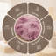 Aspire Homeware Lilac Shaggy Area Rug Soft Modern Indoor Carpet-565795689
