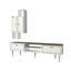 Pamphile TV Stand for TVs up to 55"