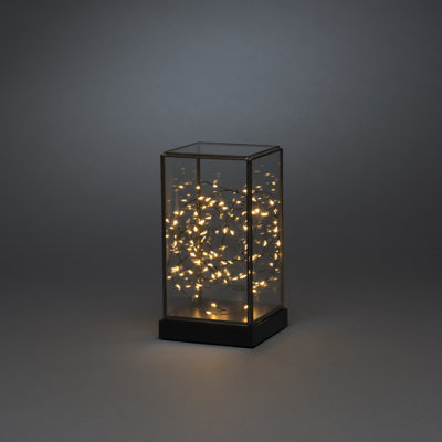 Holiday Lighting