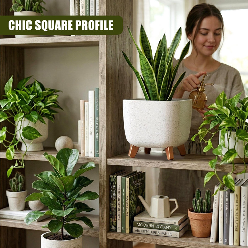 Pot Planter