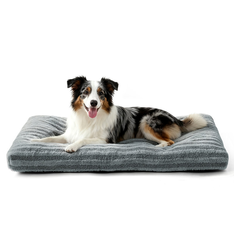 Lit pour animaux de compagnie, lit pour chien et chat anti-angoisse, matelas moelleux avec fond antidérapant, tapis pour chien lavable et confortable pour plancher ou caisse, gris