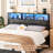 Lozandier Headboard with Storage, Power Outlet, USB Ports and LED Strip-1071489322-1071489327