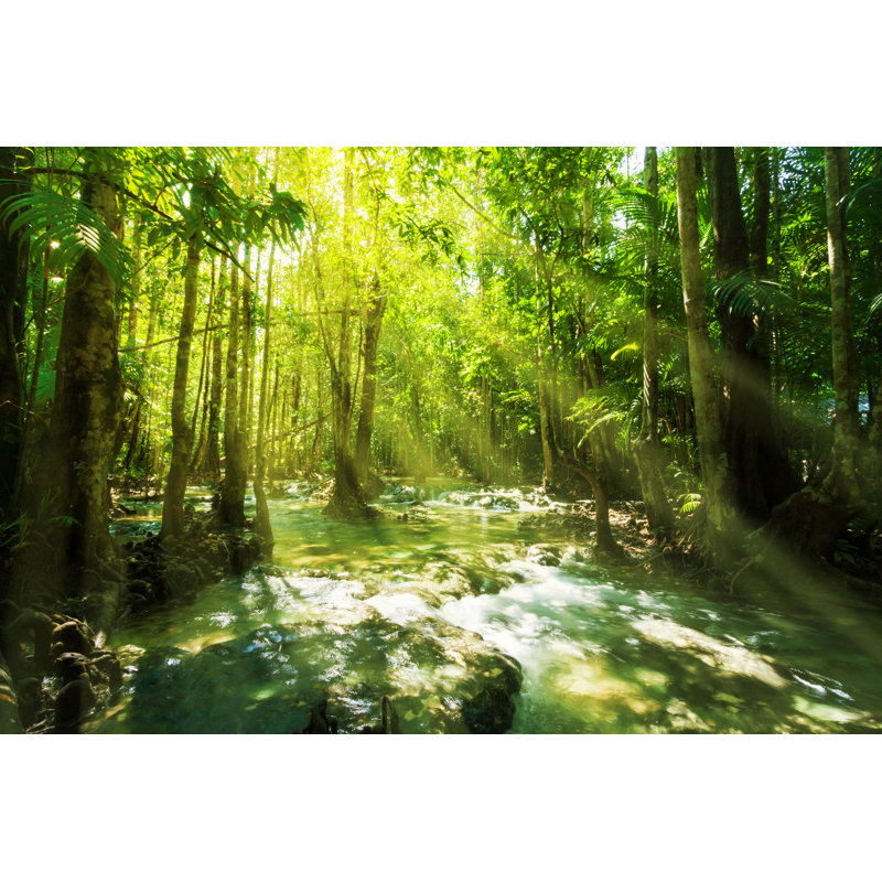 Waterfall In Rainforest by Kettaphoto - Wrapped Canvas Print, 81cm H x 122cm W x 3.8cm D