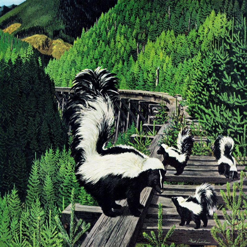 « moufette family », reproduction d’art sur toile tendue, H 40 po x l 40 po x P 1,5 po