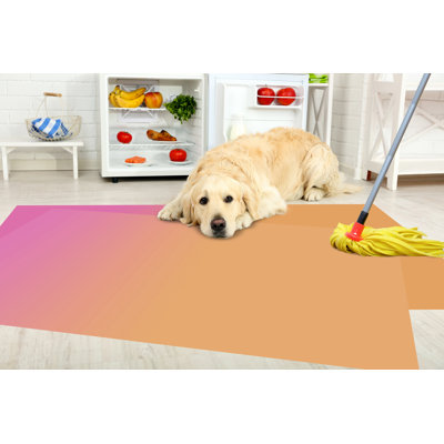Bloniarz Rectangle 120 cm x 133 cm Vinyl Area Rug