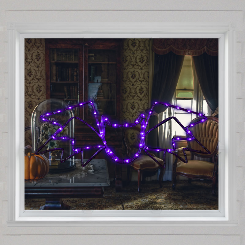 23.5" Lighted Bat With 4 Function Controller Window Silhouette Halloween Decoration
