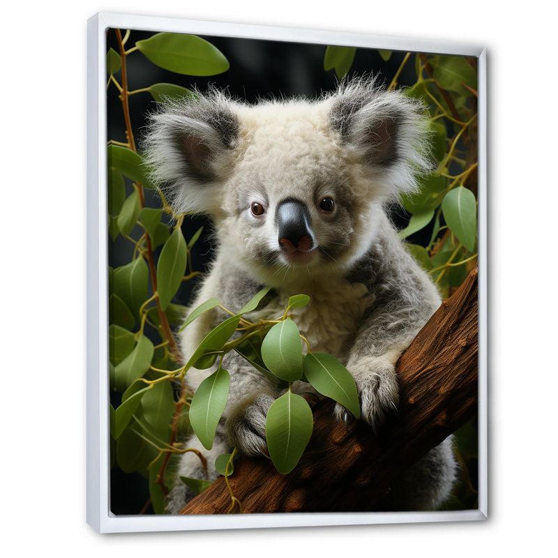 «Realistic Koala Eucalyptus Observer 2», art mural animal koala, Cadre flottant blanc, H 32 po x l 16 po