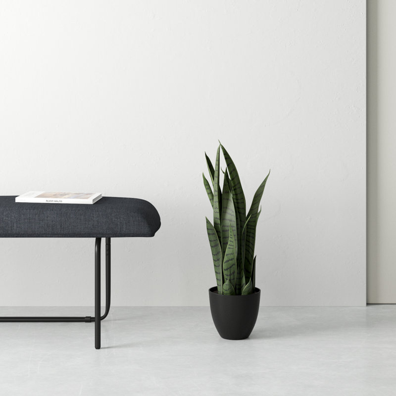 Plante de serpent artificielle Sansevieria en pot, H 26 po x l 12 po x P 12 po