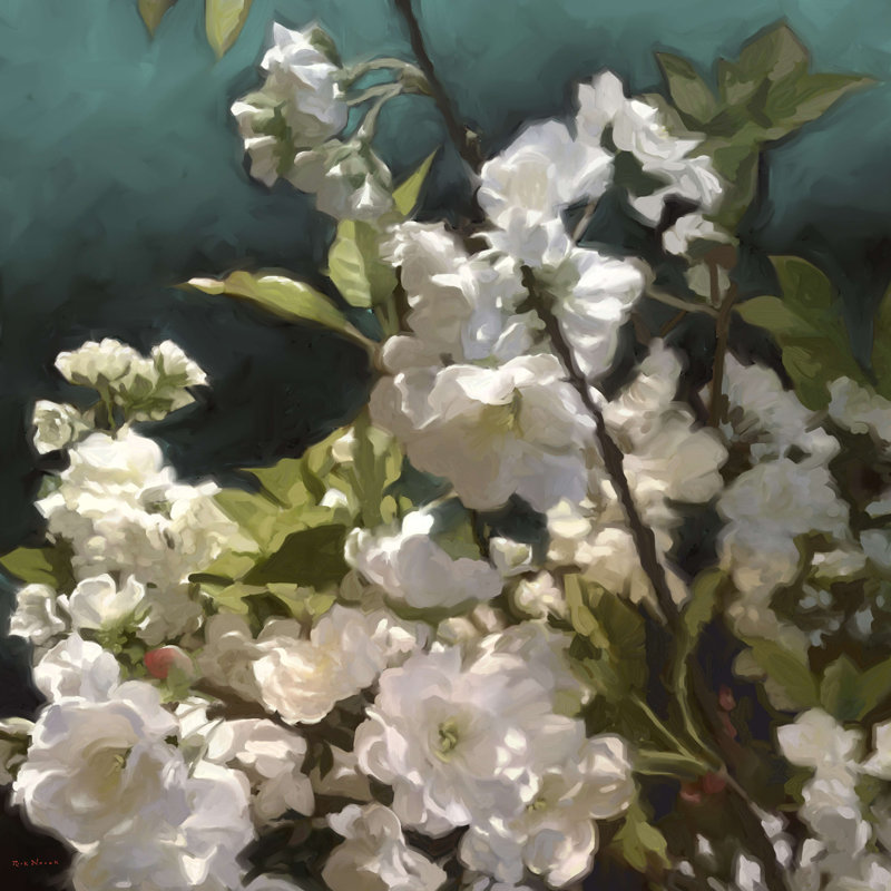 Roses blanches III, H 12 po x l 12 po