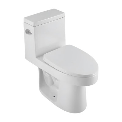 Elongated One-piece Toilet, 12" Rough In Size