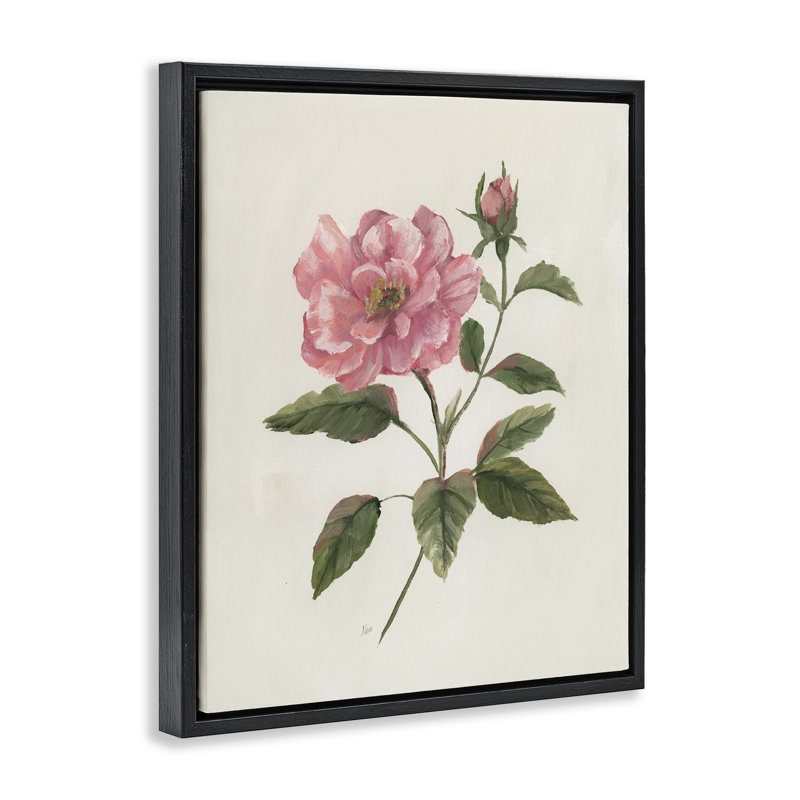 Cadre flottant Rosie Rose Flower Blossom, design par Nan, Cadre flottant noir de jais, H 21 po x l 17 po