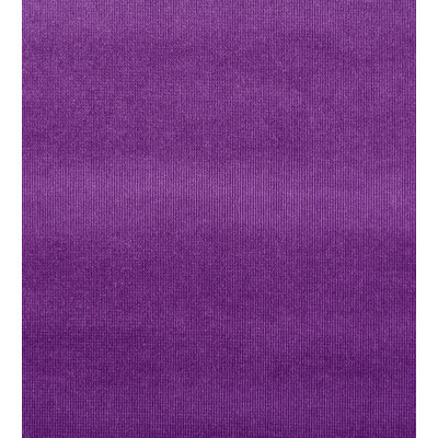 Essential Velvets Glamour Fabric
