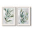 «Tropical Foliage Study I», reproduction encadrée de qualité supérieure - prête à être accrochée-573198049-573198055