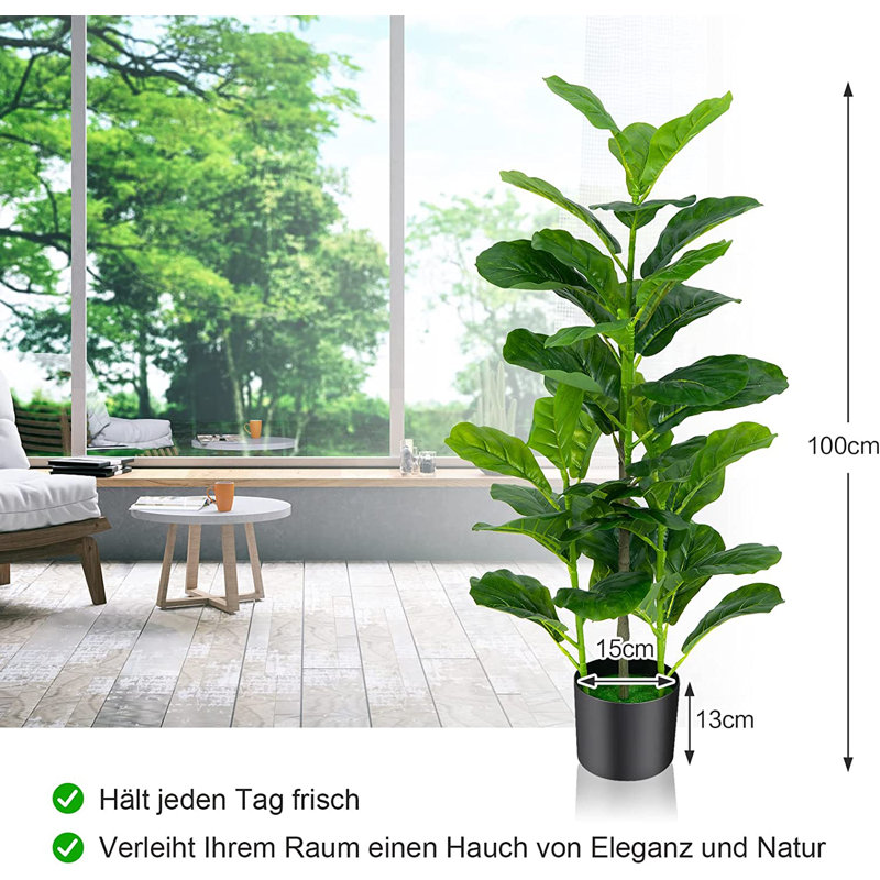 Evergreen Plant in Pot, 100cm H x 15cm W x 15cm D