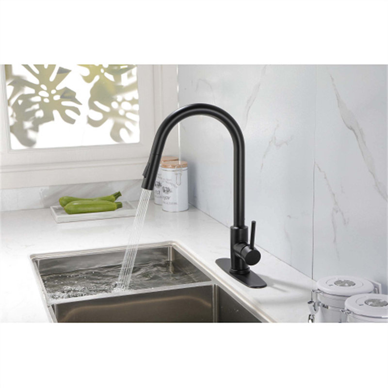 Red Cloud Pull Down Kitchen Faucet, Black