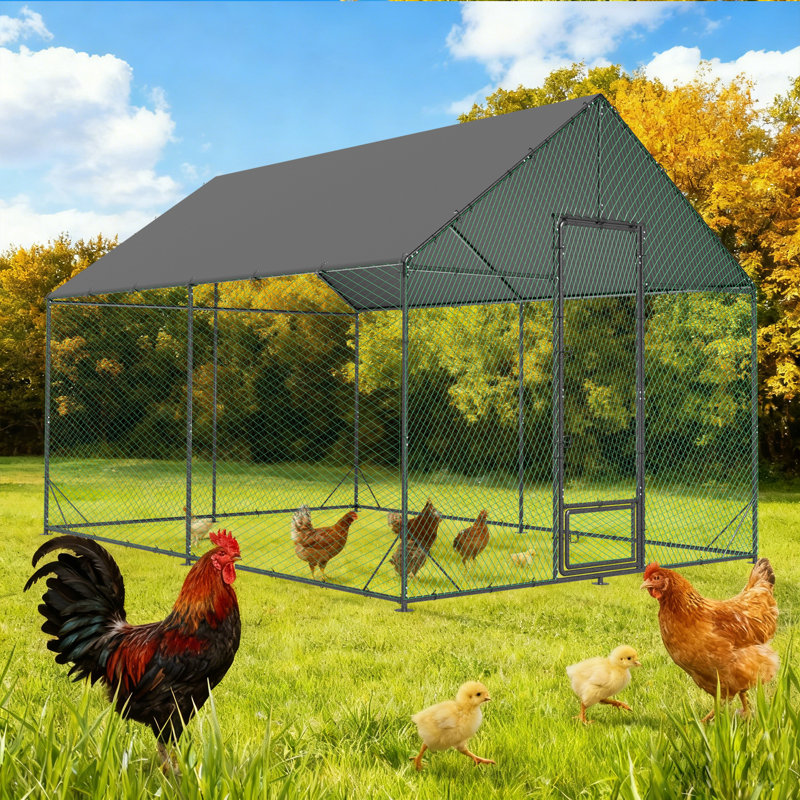 Poulailler en métal antirouille avec cage de volaille Runin, H 109 po x l 118 po x P 159,5 po