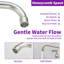 VIBRANTBATH Kitchen Faucet-90616815-93524606