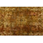 Tapis unique 9 pi 9 po x 12 pi 5 po Geerten