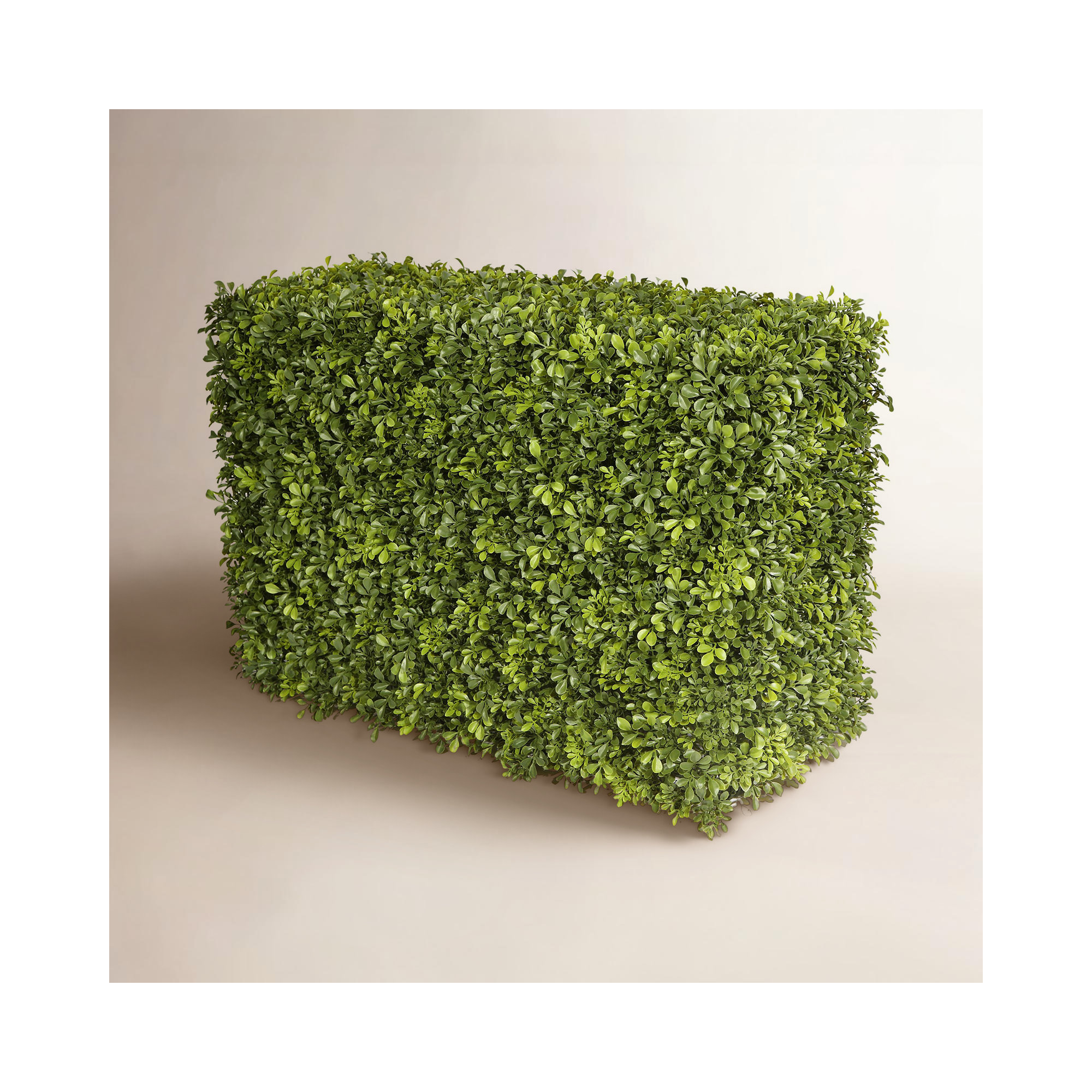 Hedge, 21" H x 13" W x 30" D