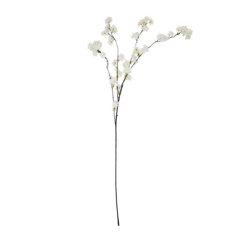 Anastasija Arrangement