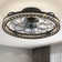 19'' Dimmable Caged Ceiling Fan with LED Lights