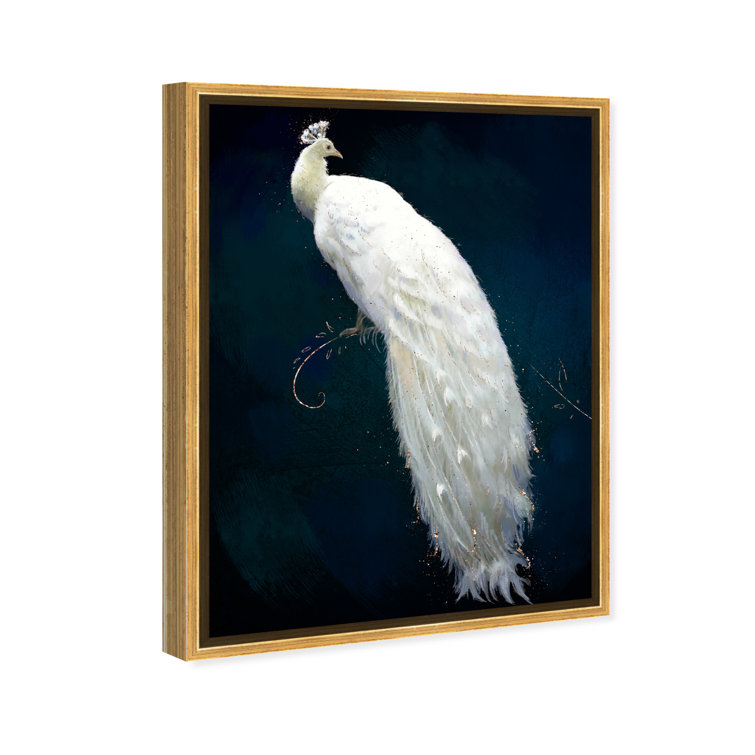 Peacock Feather Close-up Solid-Faced Canvas Print