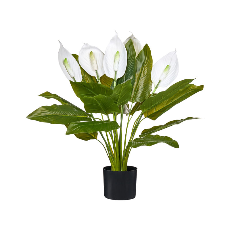Artificial Plant SPATHPHYLLUM 70 cm Green
