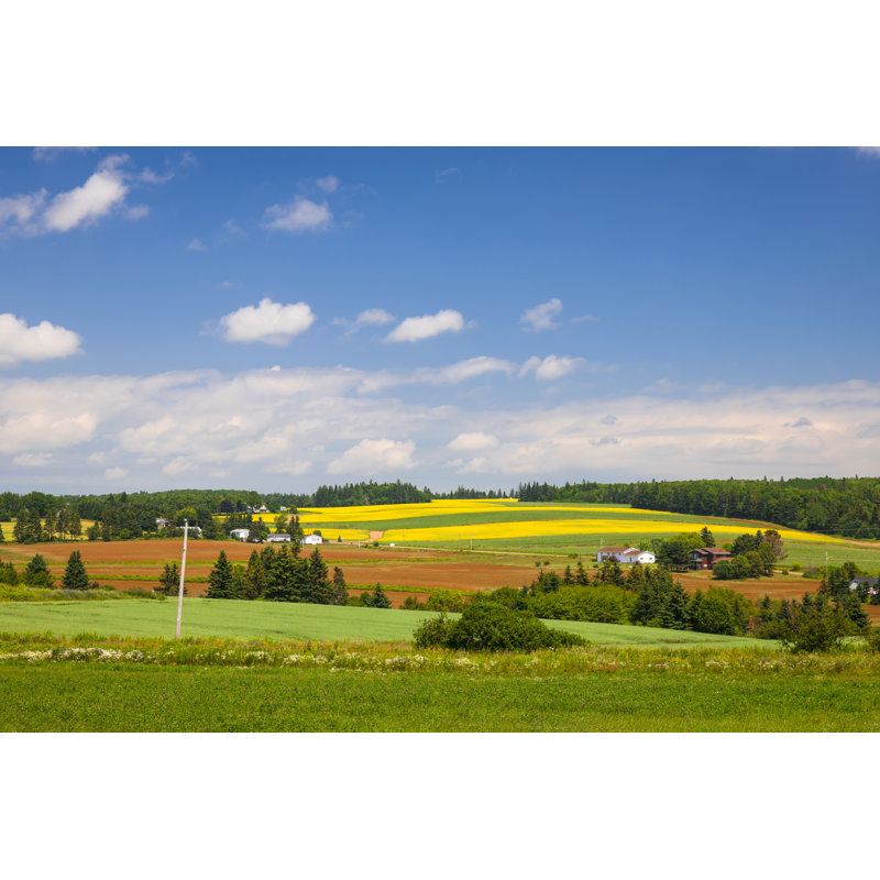 Rural Landscape by Elenathewise - Wrapped Canvas Print, 20cm H x 30cm W