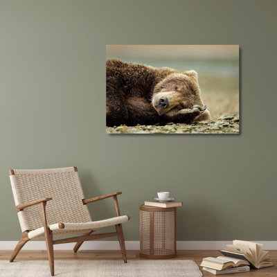 Millwood Pines Souders, Paul Gallery Wrapped Canvas Art Titled: Brown Bear, Katmai National Park, Alaska.